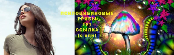 стафф Абаза
