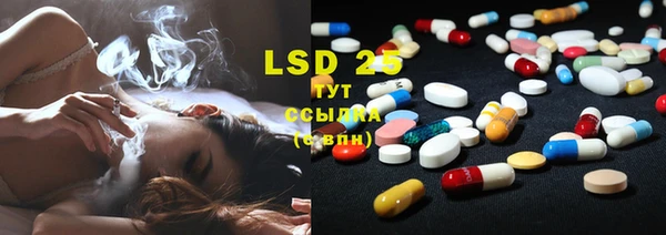 ГАЛЛЮЦИНОГЕННЫЕ ГРИБЫ Абдулино