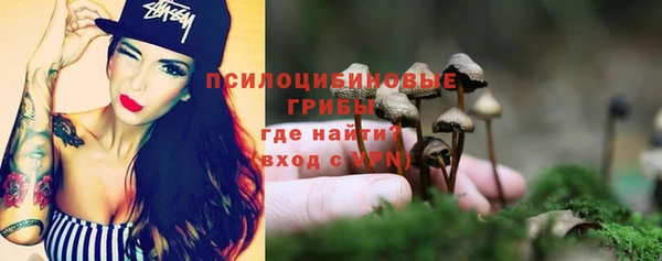 стафф Абаза