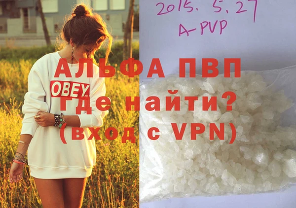 прущие грибы Осташков