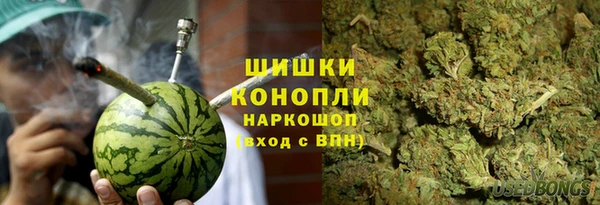 ГАЛЛЮЦИНОГЕННЫЕ ГРИБЫ Абдулино
