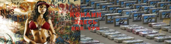 стафф Абаза