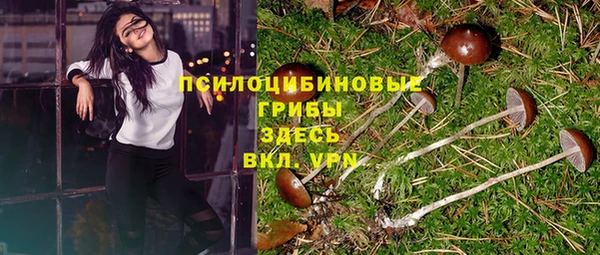 ГАЛЛЮЦИНОГЕННЫЕ ГРИБЫ Абдулино