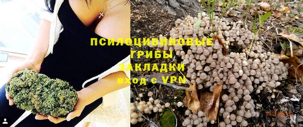 ГАЛЛЮЦИНОГЕННЫЕ ГРИБЫ Абдулино