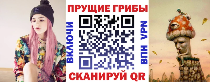 что такое   Воронеж  Псилоцибиновые грибы MAGIC MUSHROOMS 