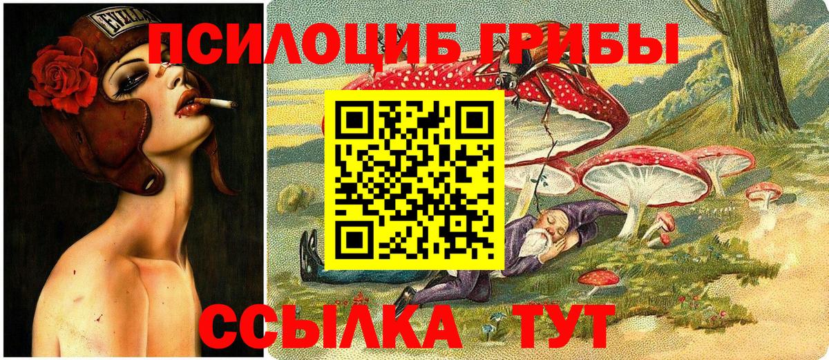 Галлюциногенные грибы GOLDEN TEACHER  Вход с VPN  Воронеж  Псилоцибиновые грибы Psilocybine cubensis 