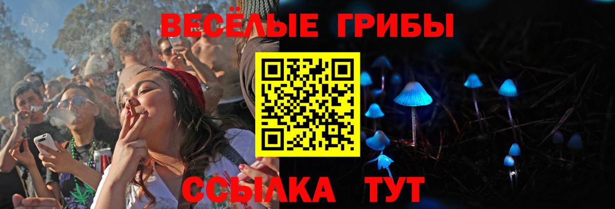 Псилоцибиновые грибы MAGIC MUSHROOMS Воронеж